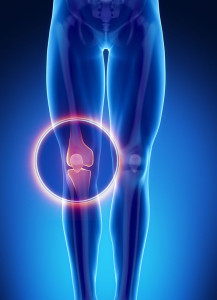 Male bone anatomy knee