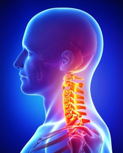 15181687 - anatomy of pain in neck of male